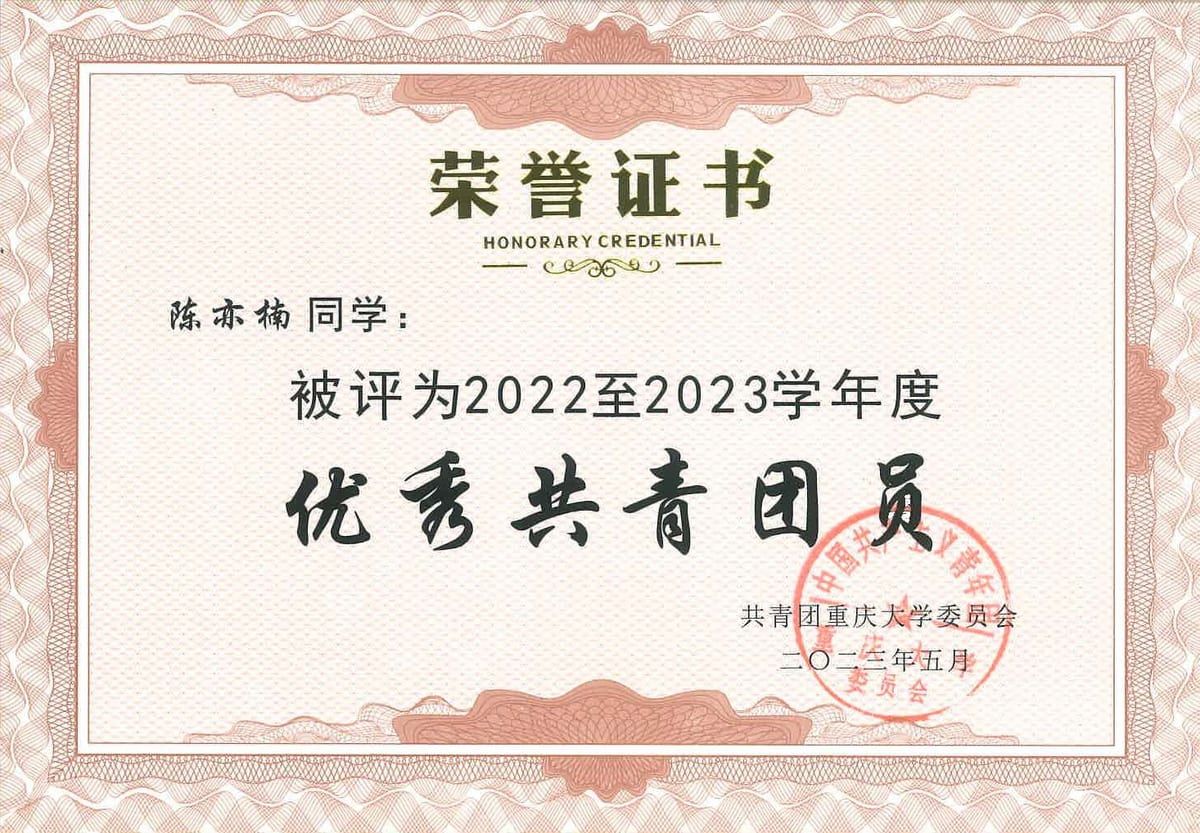重庆大学优秀共青团员